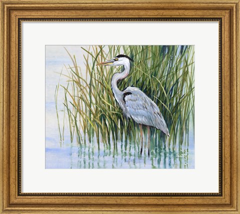 Framed Heron in the Marsh II Print