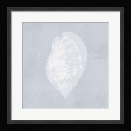 Framed Tide Pool Treasures III Print