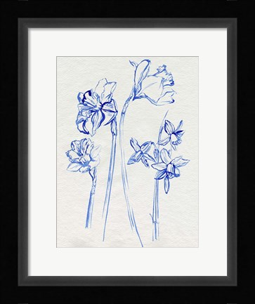 Framed Inky Daffodils I Print