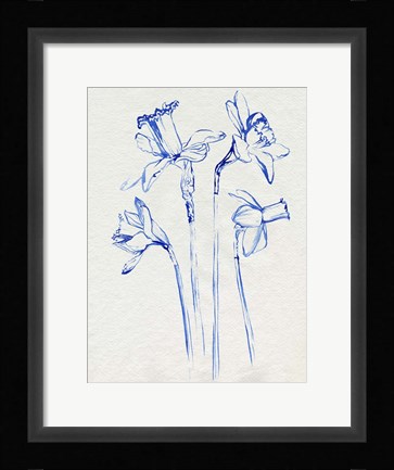 Framed Inky Daffodils II Print
