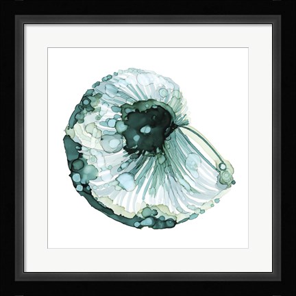 Framed Blue Barnacle I Print