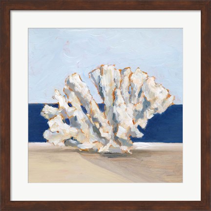 Framed Coral By the Shore I Print