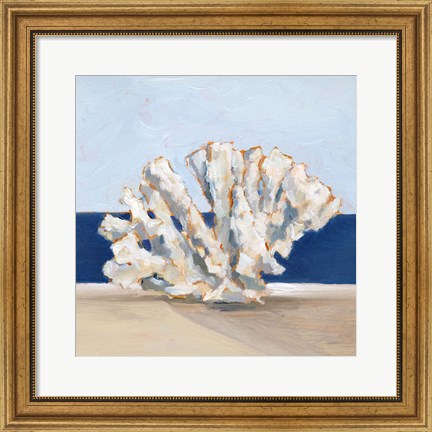Framed Coral By the Shore I Print