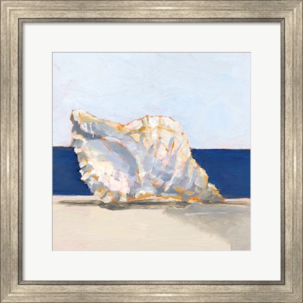 Framed Shell By the Shore III Print