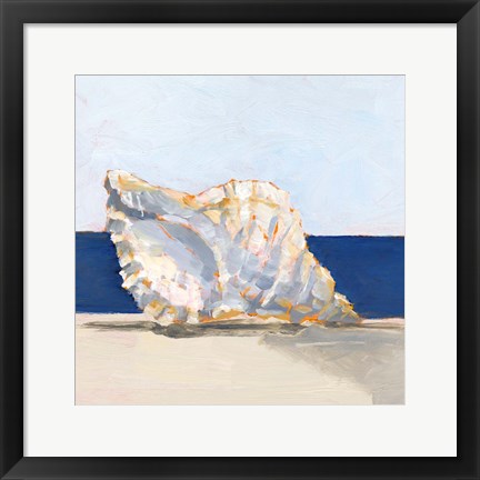 Framed Shell By the Shore III Print