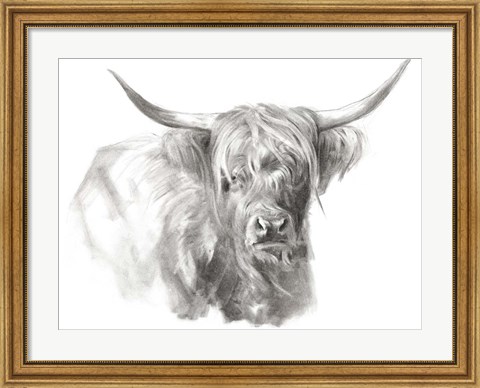 Framed Soft Focus Highland Cattle I Print