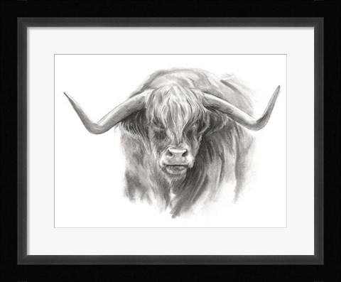 Framed Soft Focus Highland Cattle II Print