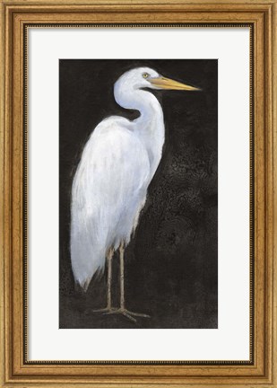 Framed White Heron Portrait I Print