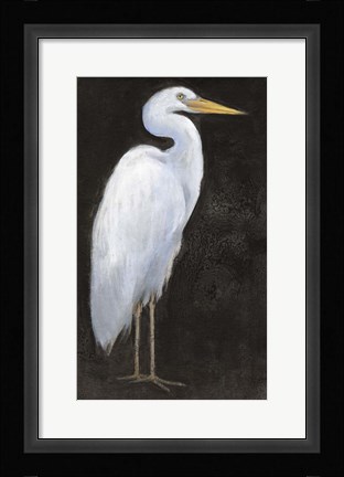 Framed White Heron Portrait I Print