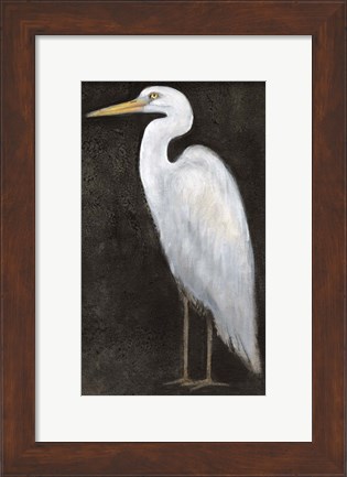 Framed White Heron Portrait II Print