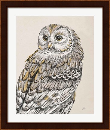 Framed Beautiful Owls III Vintage Print