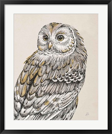 Framed Beautiful Owls III Vintage Print