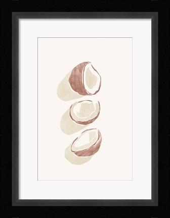 Framed Tropical Coconuts Print