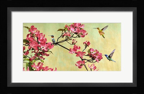 Framed Flower Branch (detail) Print