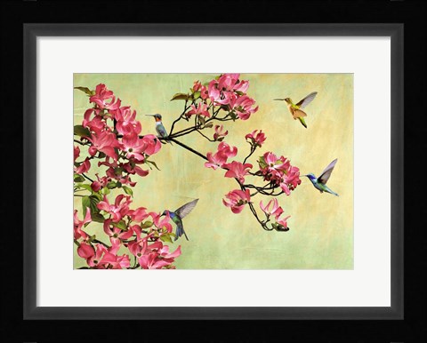 Framed Flower Branch Print