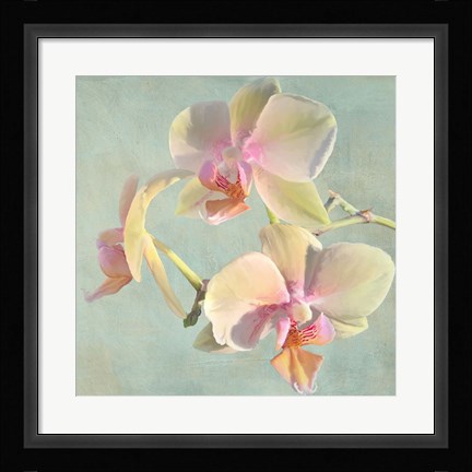 Framed Jewel Orchids I Print