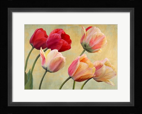 Framed Golden Tulips (detail) Print