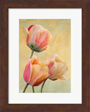 Framed Golden Tulips I Print
