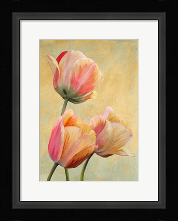 Framed Golden Tulips I Print