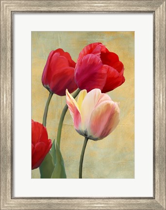 Framed Ruby Tulips Print