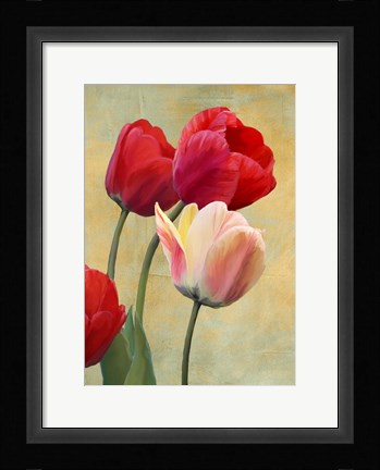 Framed Ruby Tulips Print