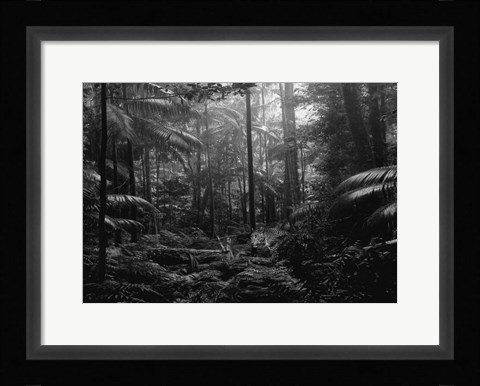 Framed In the Jungle Print