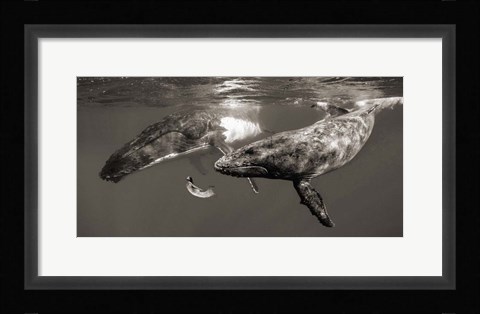 Framed La Fille de la Mer Print