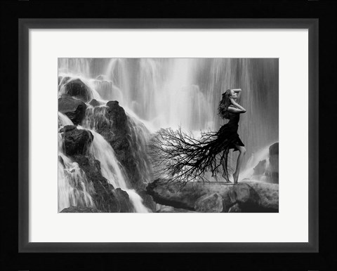 Framed Nature's Beauty Print