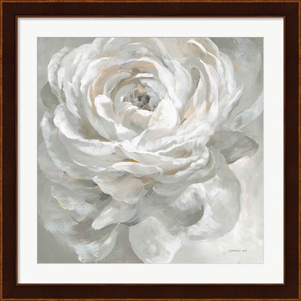 Framed White Rose Print