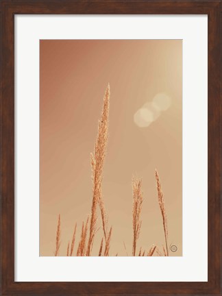 Framed Noon Grasses I Print