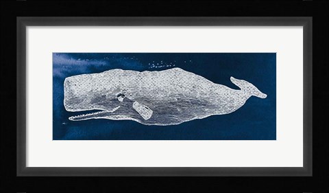 Framed Whale on Blue Print