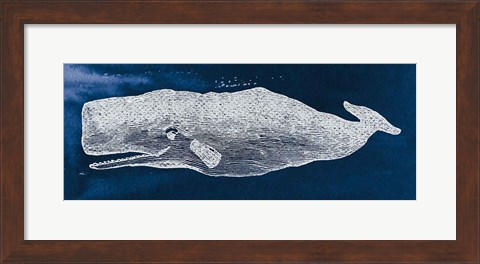 Framed Whale on Blue Print