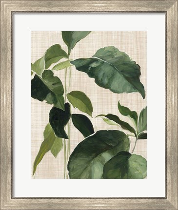 Framed Tropical Study II Linen Print