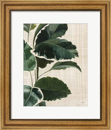 Framed Tropical Study I Linen Print