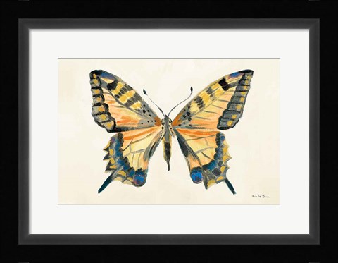 Framed Butterfly Study II Print