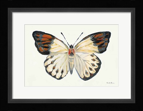 Framed Butterfly Study I Print