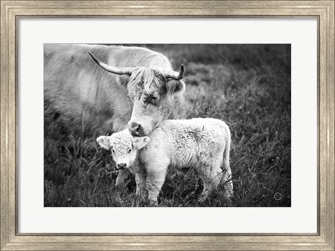 Framed Cow Care Print