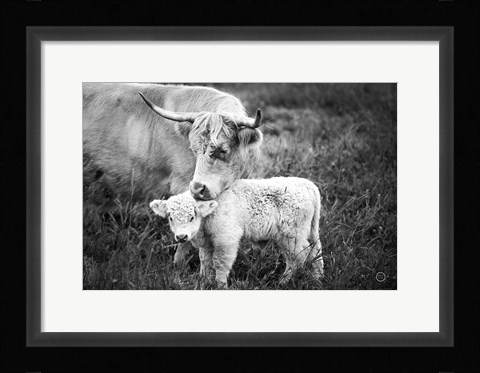 Framed Cow Care Print