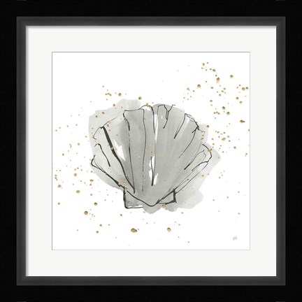 Framed Sea Scallop Print