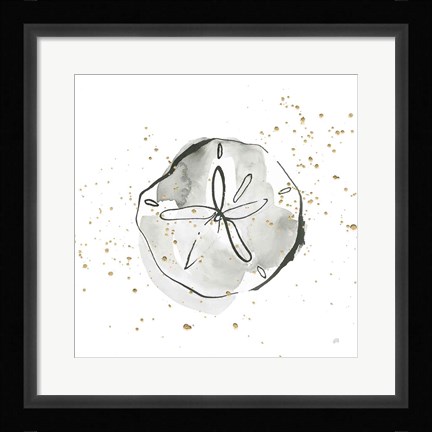 Framed Sand Dollar I Print