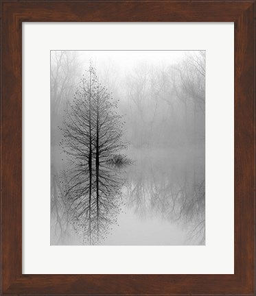 Framed Lake Trees in Winter Fog Print