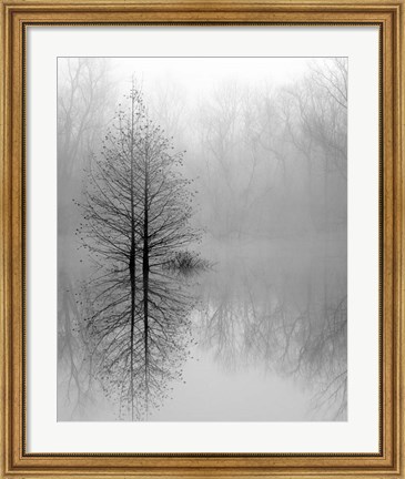 Framed Lake Trees in Winter Fog Print