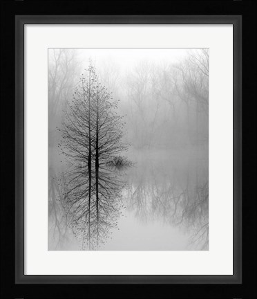 Framed Lake Trees in Winter Fog Print