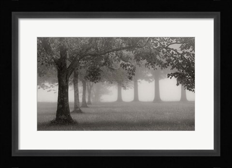 Framed Trees In Early Autumn Print