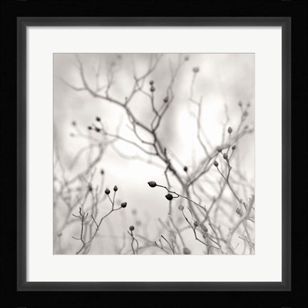Framed Winter Berries Print