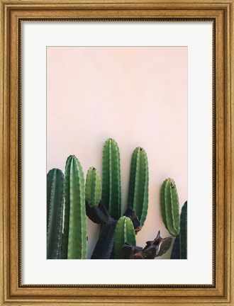 Framed Cactus Print