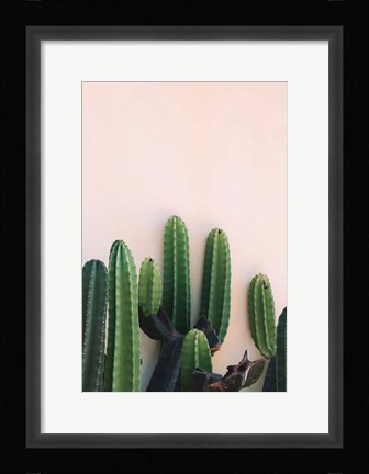 Framed Cactus Print