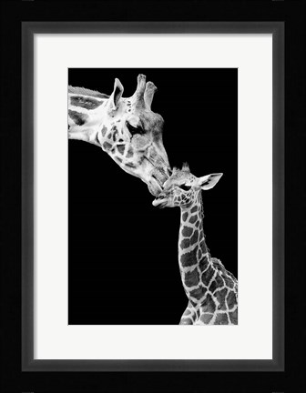 Framed First Love - Giraffe Print