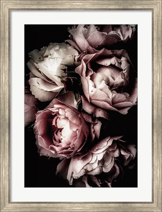 Framed Floral 30 Print