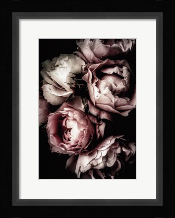 Framed Floral 30 Print